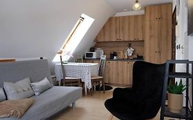 Apartament Ryllowka Z Widokiem Na Gory Zakopane